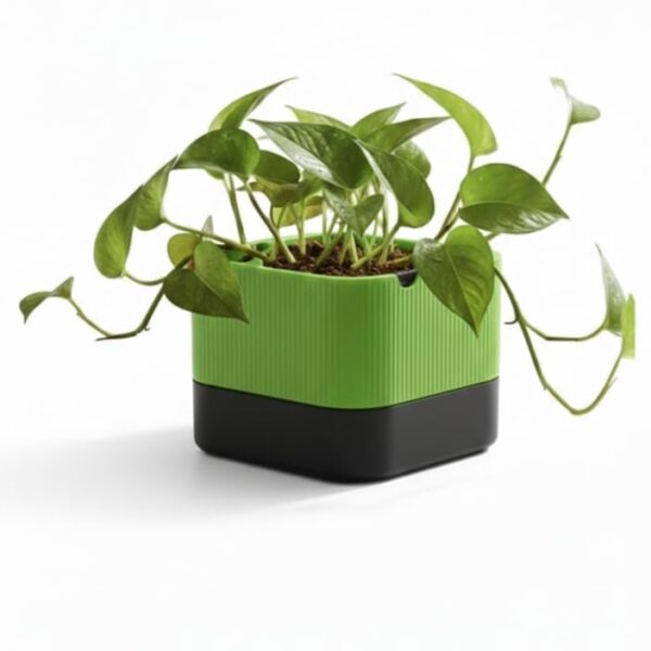 Budget Box Self-Watering Planter Pot, Modern Two-Tone Red and Black Design with Water Reservoir Base, Drainage System, Indoor Plant Pot for Desk, Office, Home Gardening (Green and Black)